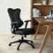 Emma and Oliver High Back Designer Mesh Executive Ergonomic Office Chair w/ Adjustable Arms
